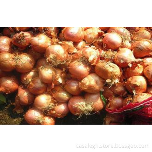 Small Red Asian Shallots Full-Flavoured For Canned , Carame